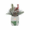 Truco Christmas Mix in Gnome Ceramic Pot - Green - 3.25X3X4 TR2970908